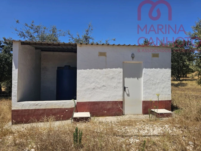 Terreno para Venda em Estremoz (Santa Maria e Santo André) Foto 16