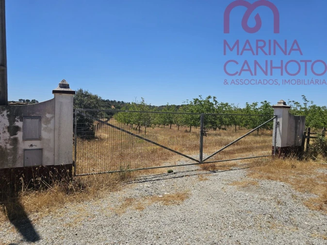 Terreno para Venda em Estremoz (Santa Maria e Santo André)