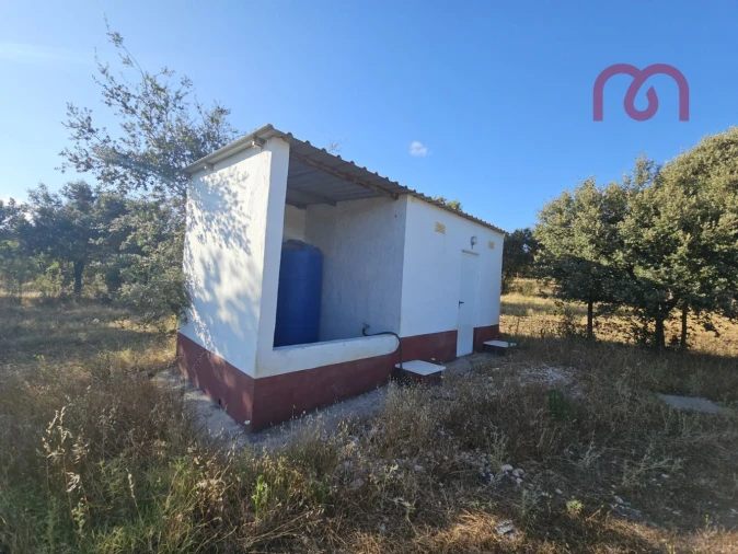 Terreno para Venda em Estremoz (Santa Maria e Santo André) Foto 21