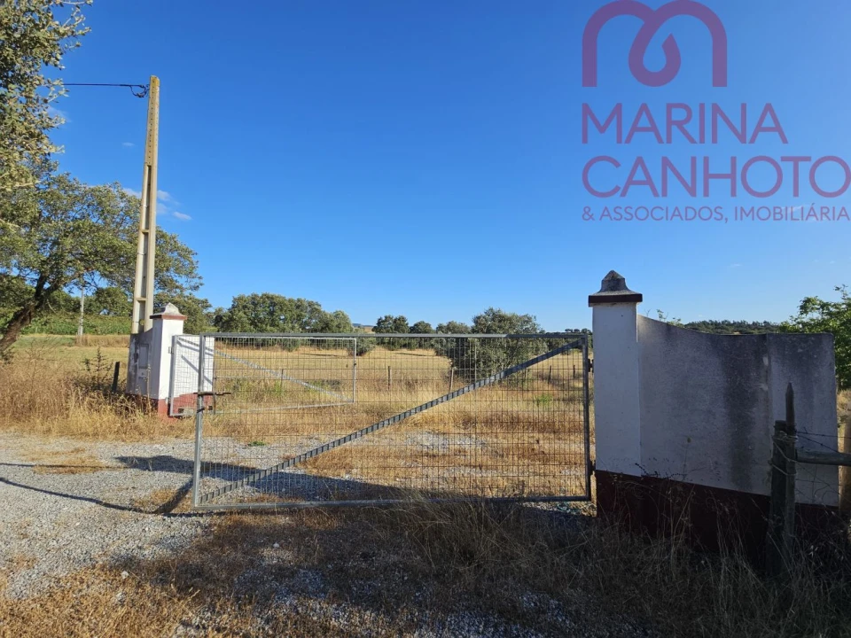 Terreno para Venda em Estremoz (Santa Maria e Santo André) Foto 9