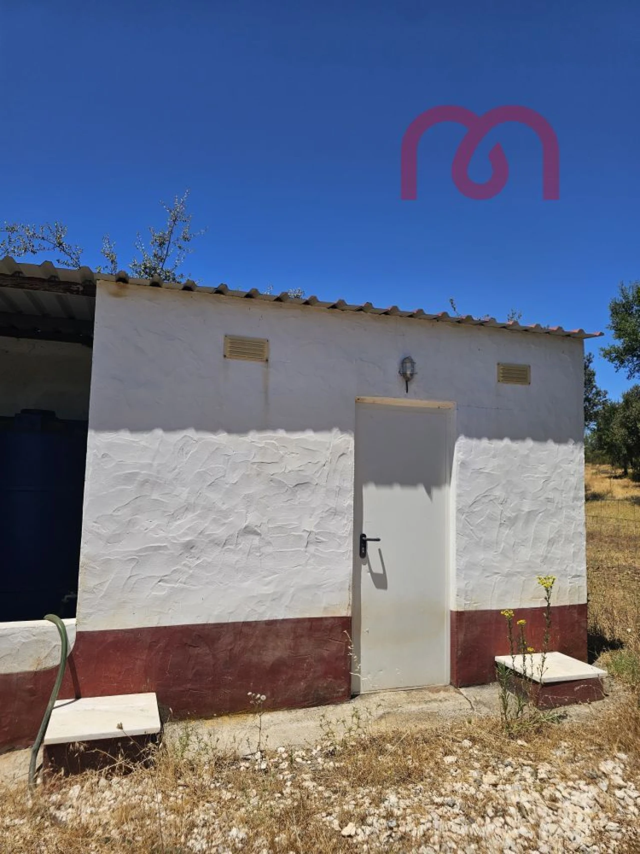Terreno para Venda em Estremoz (Santa Maria e Santo André) Foto 17