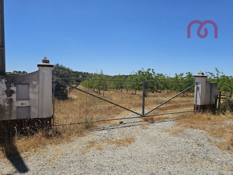 Terreno para Venda em Estremoz (Santa Maria e Santo André) Foto 1