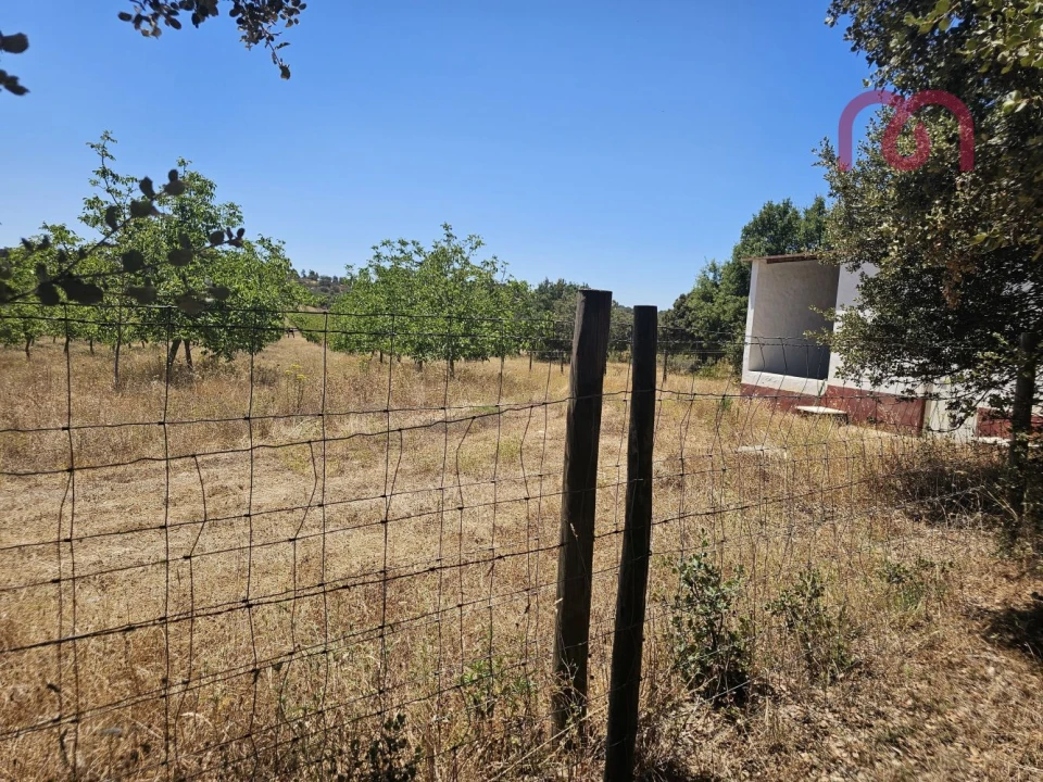 Terreno para Venda em Estremoz (Santa Maria e Santo André) Foto 24