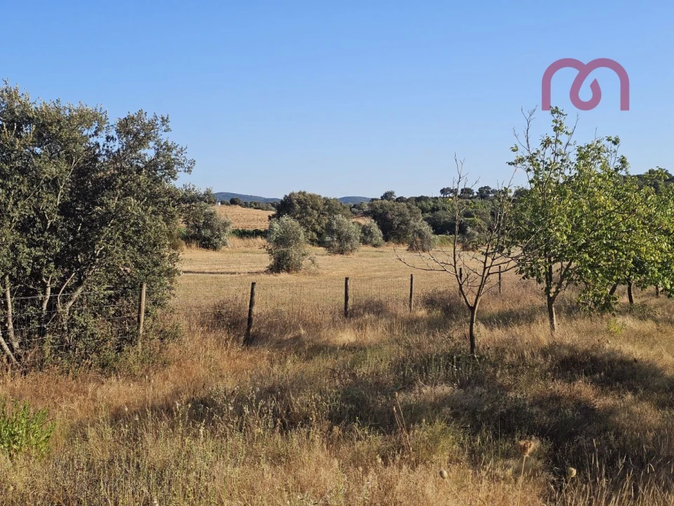 Terreno para Venda em Estremoz (Santa Maria e Santo André) Foto 26