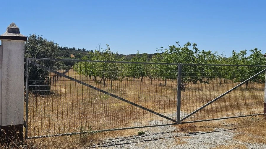 Terreno para Venda em Estremoz (Santa Maria e Santo André)