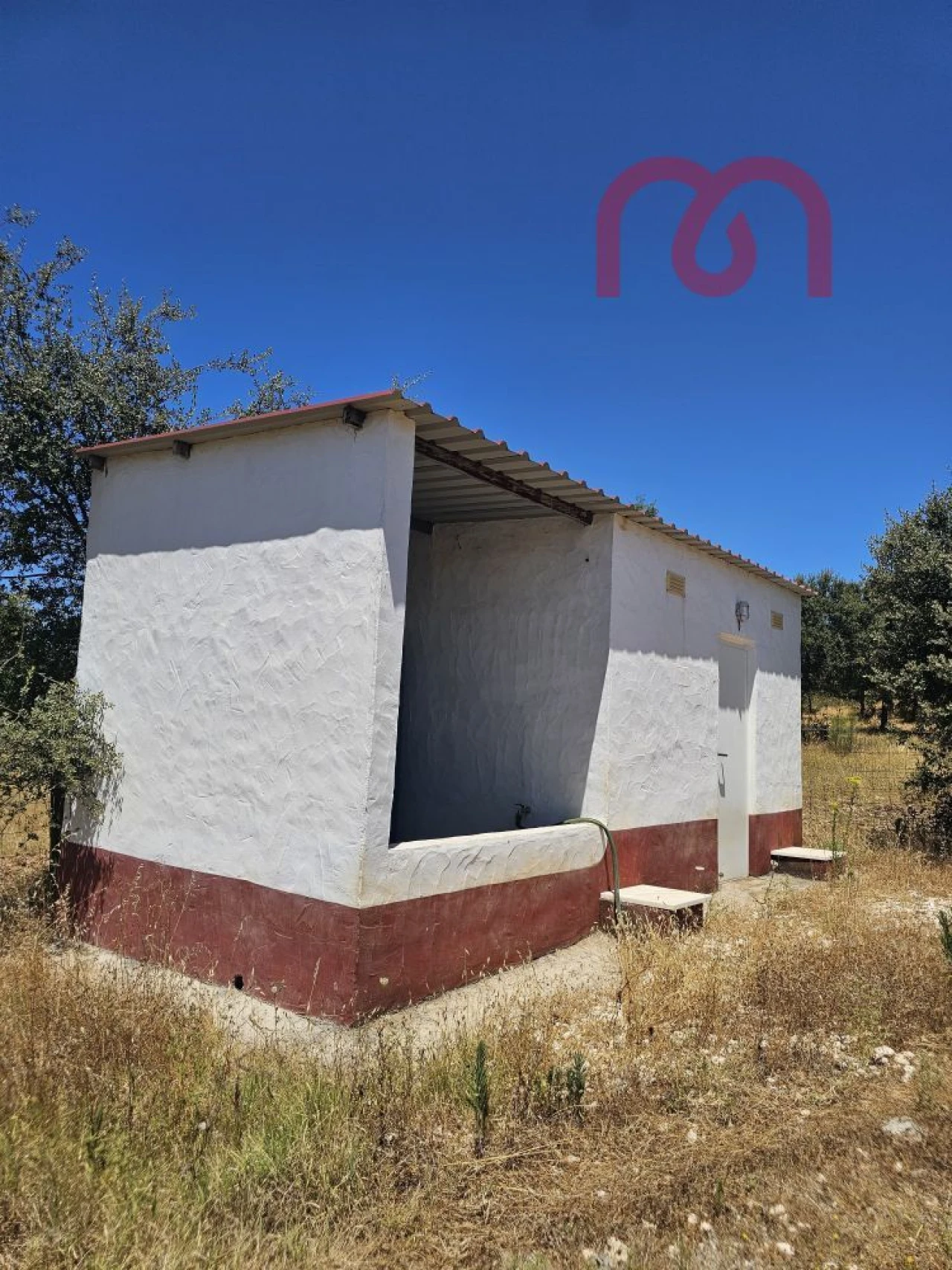Terreno para Venda em Estremoz (Santa Maria e Santo André) Foto 20