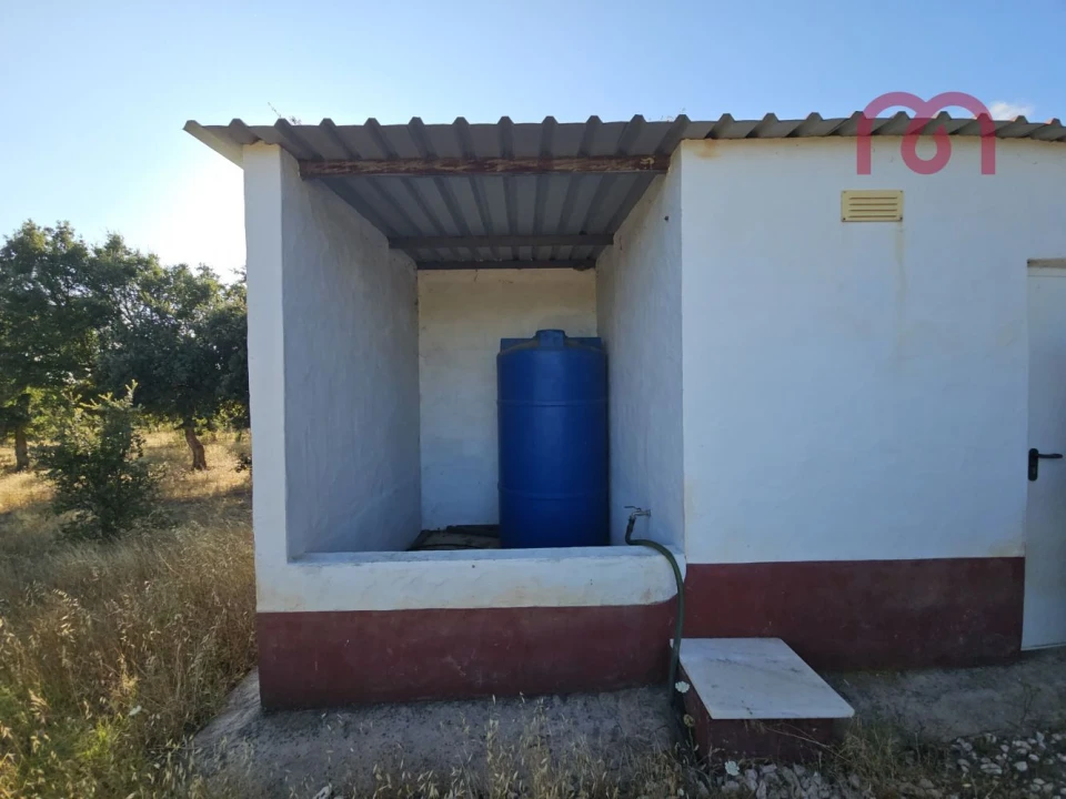 Terreno para Venda em Estremoz (Santa Maria e Santo André) Foto 22