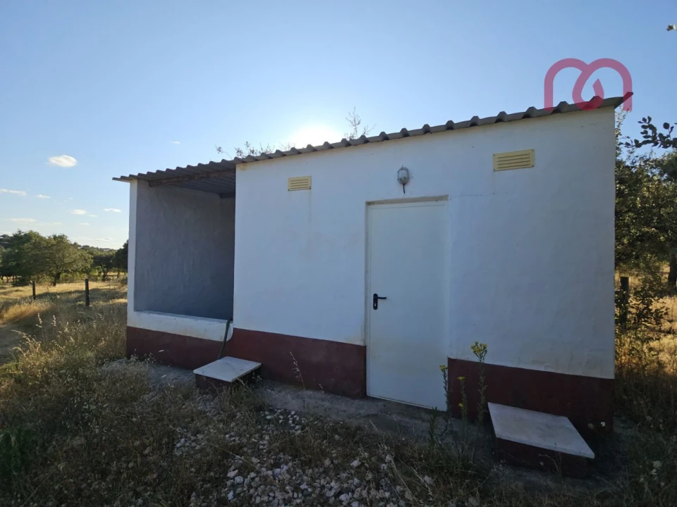 Terreno para Venda em Estremoz (Santa Maria e Santo André) Foto 15