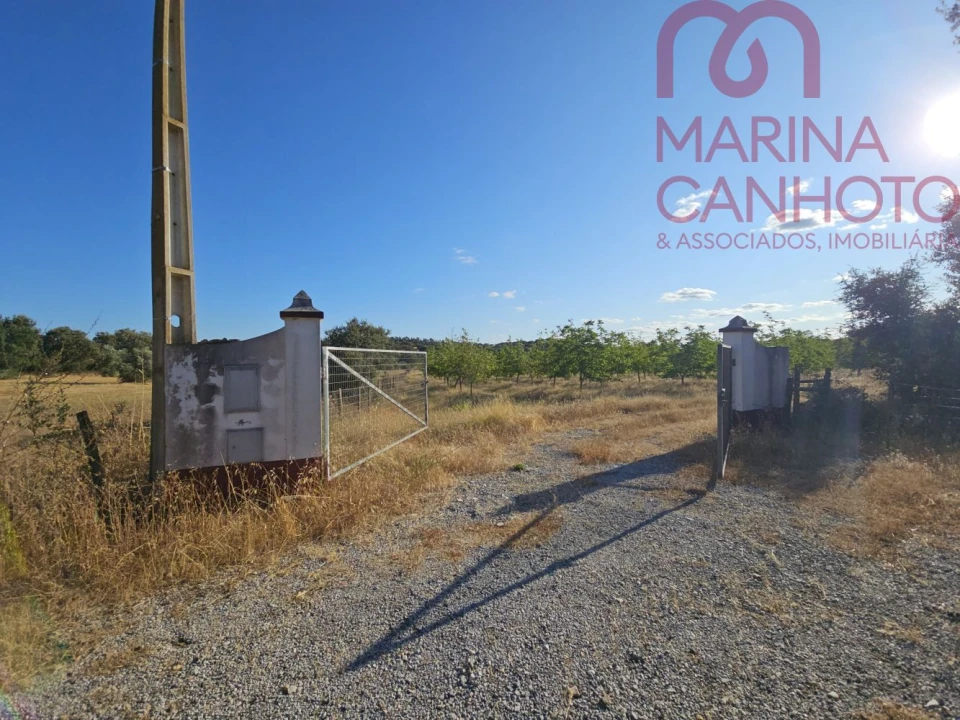 Terreno para Venda em Estremoz (Santa Maria e Santo André) Foto 34