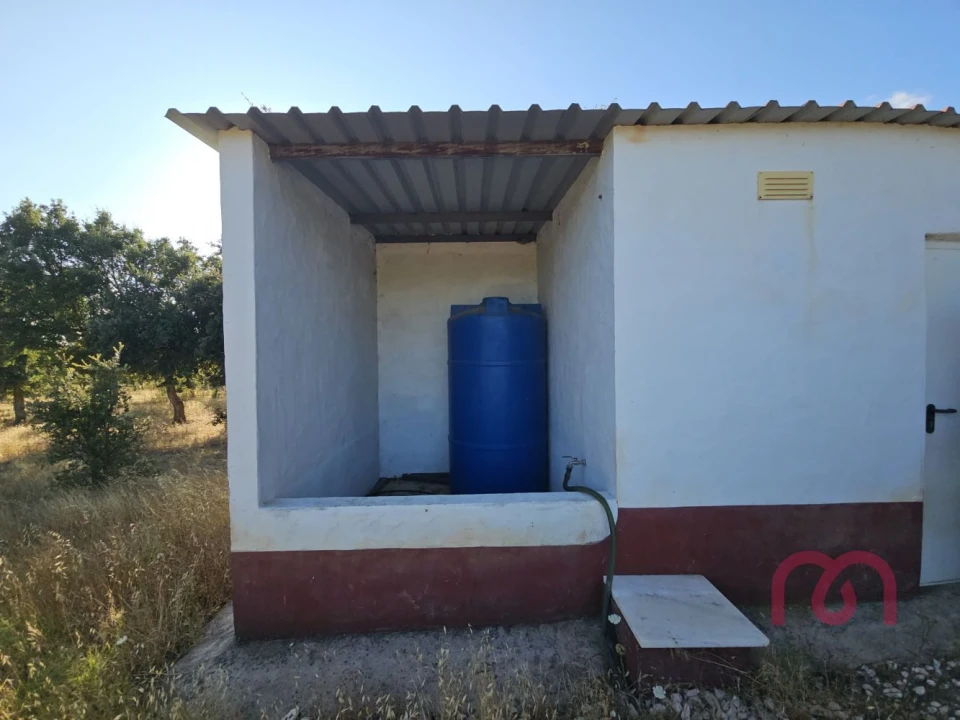 Terreno para Venda em Estremoz (Santa Maria e Santo André) Foto 22
