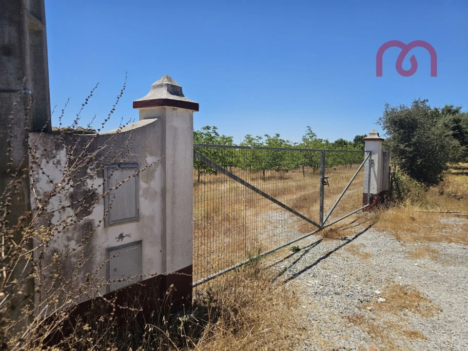 Terreno para Venda em Estremoz (Santa Maria e Santo André) Foto 4