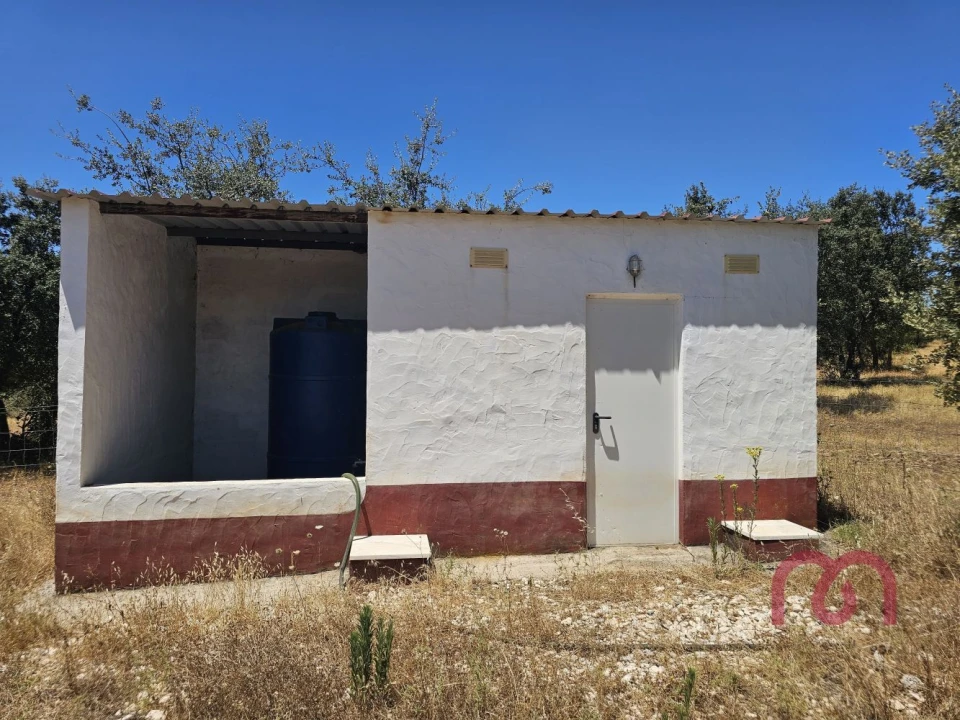 Terreno para Venda em Estremoz (Santa Maria e Santo André) Foto 16