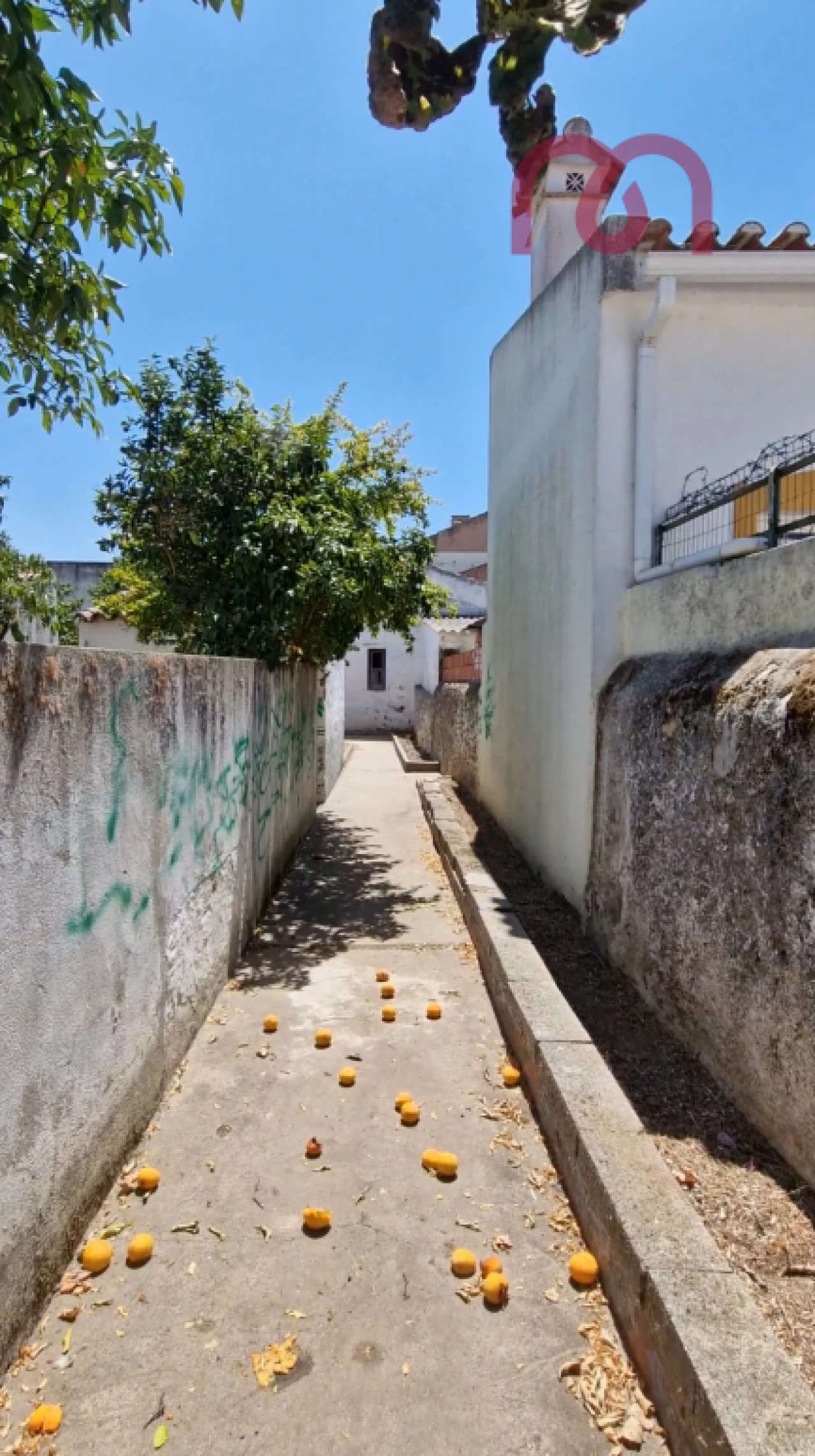 Moradia T2 para Venda em Cano Foto 20