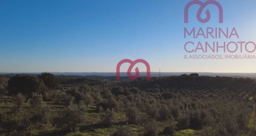 Quinta T0 para Venda em Pardais