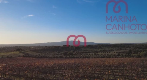 Quinta T0 para Venda em Pardais