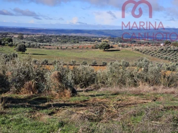 Quinta T0 para Venda em Pardais