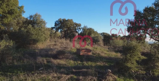 Quinta T0 para Venda em Pardais