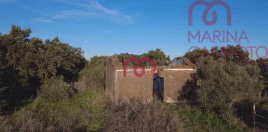 Quinta T0 para Venda em Pardais