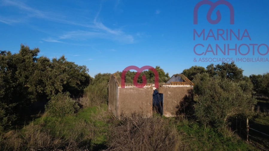 Quinta T0 para Venda em Pardais Foto 7