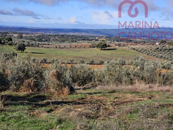 Quinta T0 para Venda em Pardais Foto 13