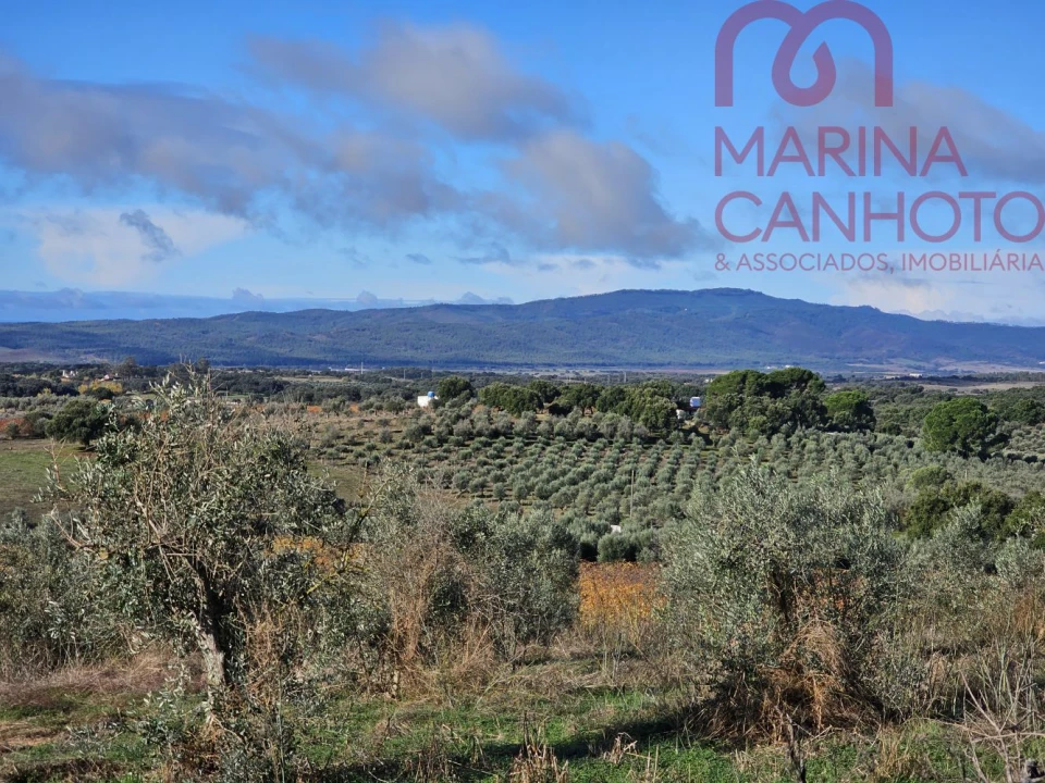 Quinta T0 para Venda em Pardais Foto 12