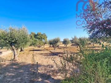 Moradia T3 para Venda em Santo Aleixo