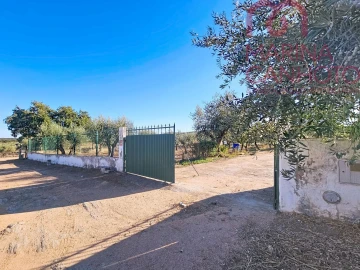 Moradia T3 para Venda em Santo Aleixo