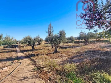 Moradia T3 para Venda em Santo Aleixo