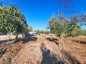 Moradia T3 para Venda em Santo Aleixo