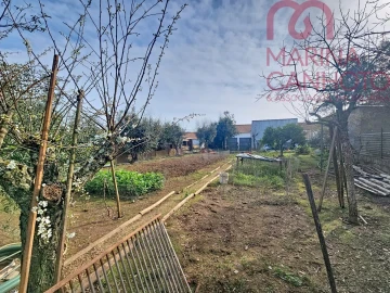 Moradia T2 para Venda em Orada