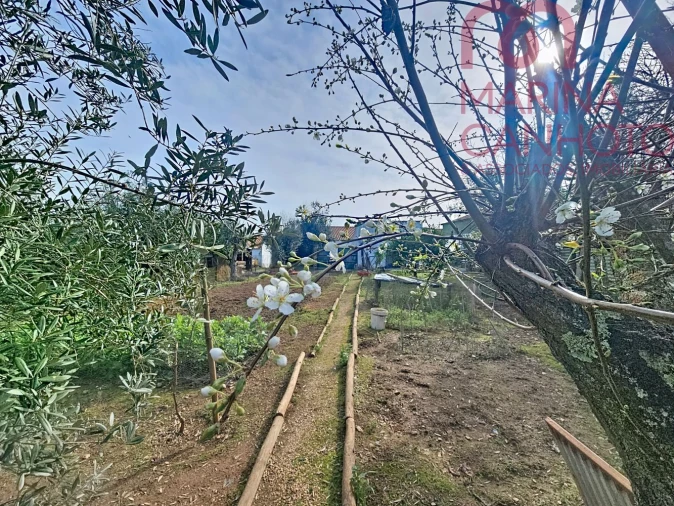 Moradia T2 para Venda em Orada Foto 18