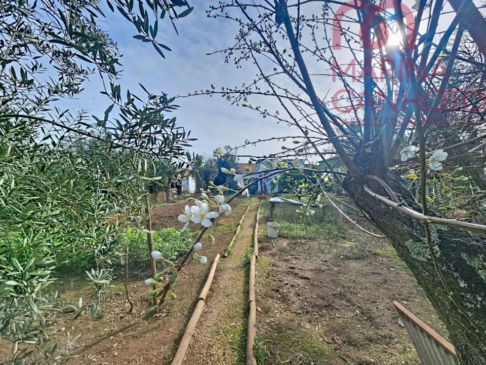 Moradia T2 para Venda em Orada Foto 18