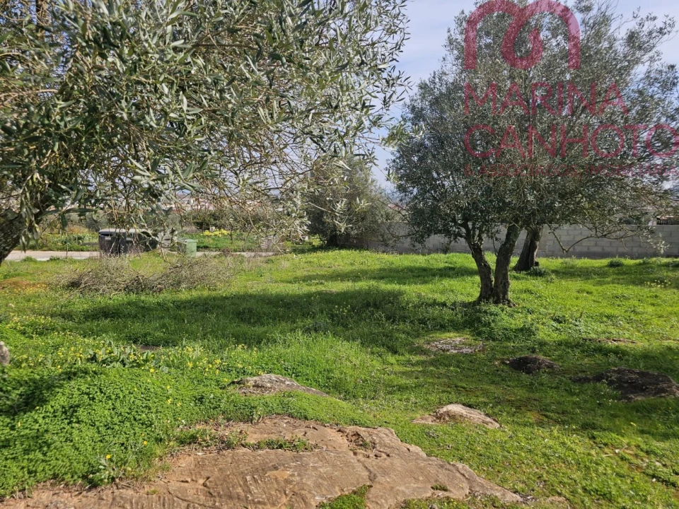 Terreno para Venda em Borba (Matriz) Foto 6