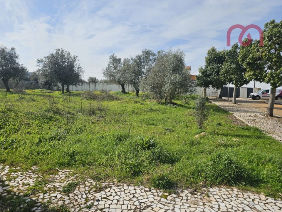 Terreno para Venda em Borba (Matriz) Foto 4