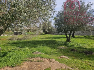 Terreno para Venda em Borba (Matriz)