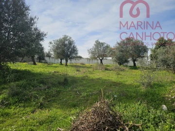 Terreno para Venda em Borba (Matriz)
