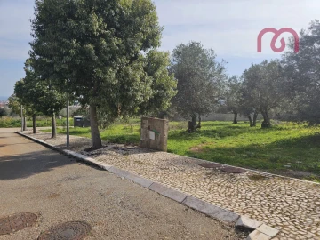 Terreno para Venda em Borba (Matriz)