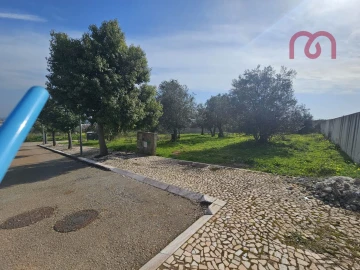 Terreno para Venda em Borba (Matriz)