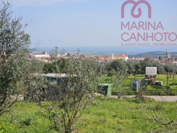 Terreno para Venda em Borba (Matriz)