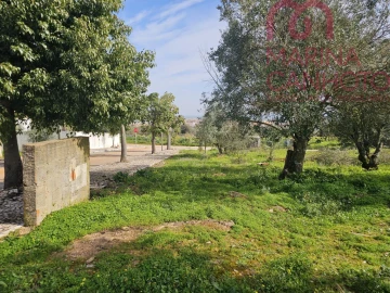 Terreno para Venda em Borba (Matriz)