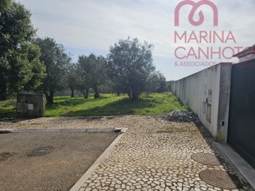 Terreno para Venda em Borba (Matriz)