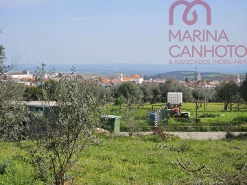 Terreno para Venda em Borba (Matriz)