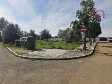 Terreno para Venda em Borba (Matriz)
