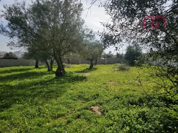 Terreno para Venda em Borba (Matriz)