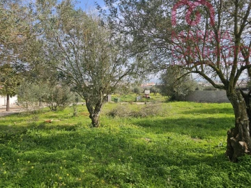 Terreno para Venda em Borba (Matriz)