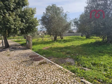 Terreno para Venda em Borba (Matriz)