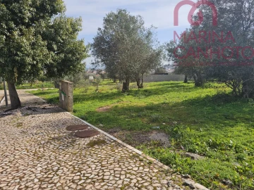 Terreno para Venda em Borba (Matriz)