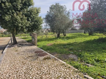 Terreno para Venda em Borba (Matriz)