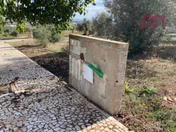Terreno para Venda em Borba (Matriz)