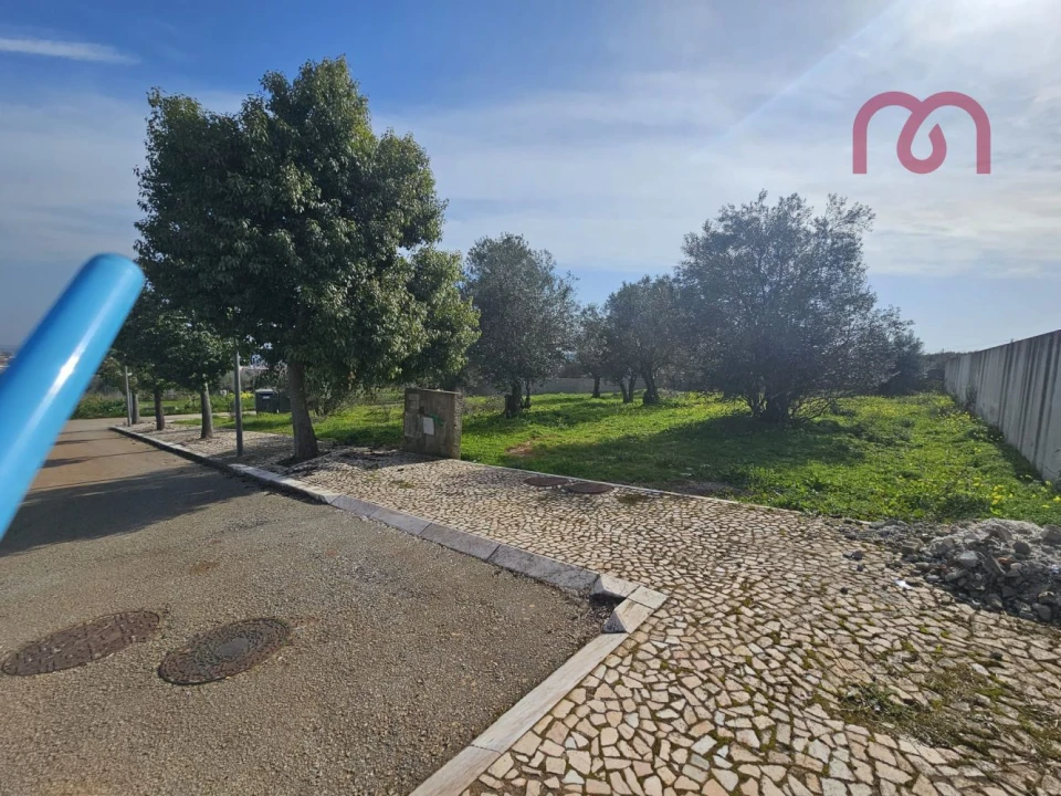 Terreno para Venda em Borba (Matriz) Foto 13
